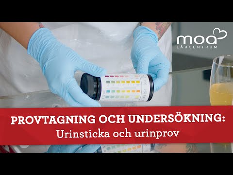 Video: Var är nefrostomirör placerade?