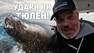 Удари ни ОГРОМЕН ТЮЛЕН!.. Морският звяр ни отнесе улова...