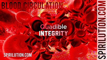 (Deep Healing Music) ★Blood Circulation, Purification & Cleansing Formula★(Binaural Beats Frequency)