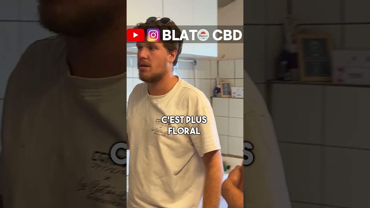 Le Rosin de CBD à la presse 