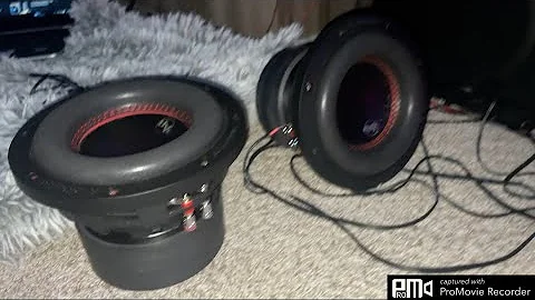 Audiopipe 6.5 free air (subwoofer testing) 🔊