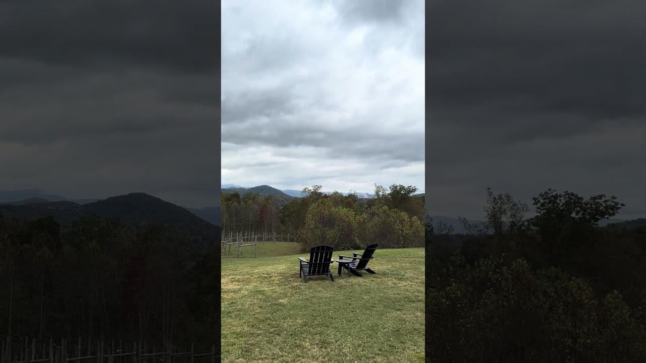 Fall in Love with Serre Vineyards!