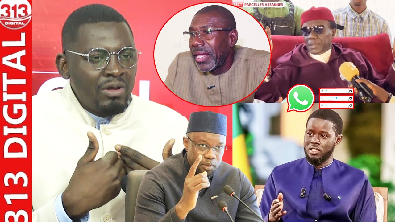 «Sortie S. Habib Sy bi dafa féñial lu bari…» Audio de Djiby G. Nd., Diomaye réponds: Réaction de Thi