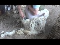 Machine Shearing Instruction