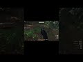 Closing In On The Treasure's Location.KCD2