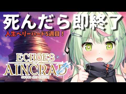 【Echoes of Aincrad】デスゲーム＆ベリーハードモード人生６週目にはなりたくない！パート５　ネタバレ注意【日ノ隈らん /のなめぷろだくしょん】