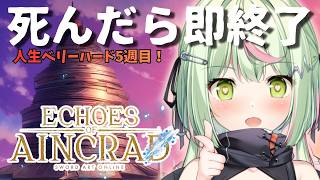 【Echoes of Aincrad】デスゲーム＆ベリ…