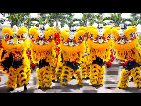 Múa Lân Khai Quang Điểm Nhãn Lân Sư Rồng 2025 LSR Thanh Anh Đường Cúng Chùa Quan Đế Miếu Gò Công 