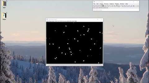 ImageJ - Segmentation to Trajectories: Demonstration