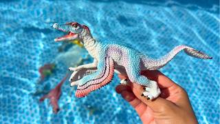 Throwing Dinosaurs In The Pool Dinosaurs For Kids| Learn Dinosaur Names