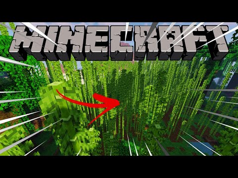 Vídeo: Onde você pode encontrar o Minecraft de bambu?