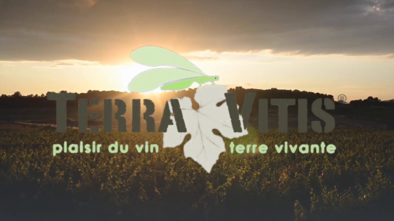 Les vignerons Terra Vitis à la pointe de l'innovation