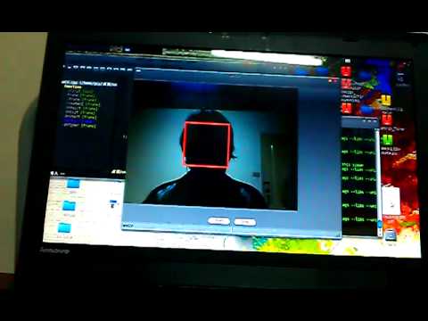 Real Time Face Detection
