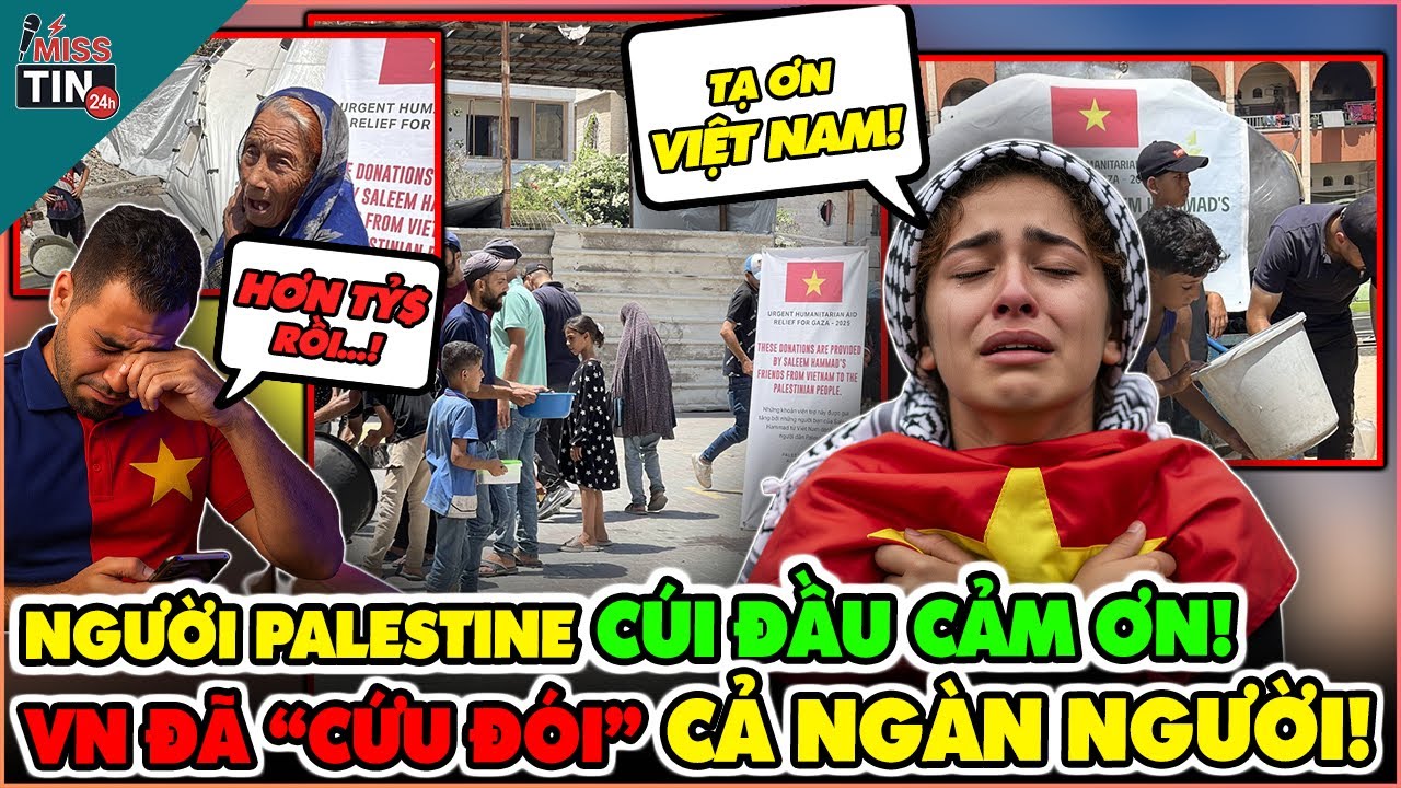 Người Dân Gaza Bật Khóc: Phép Màu Từ Việt Nam Đã Cứu Cả Ngàn Người! | #misstin24h