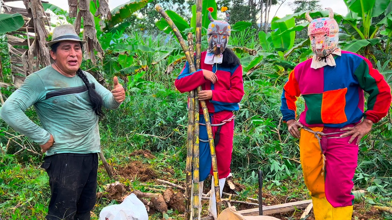Regalando YUCAS para mis amigos Los WIKIS | Don Valentin