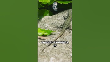 🧠 LogicBuster: Unraveling the Negative Conclusion Fallacy in Minutes! #PhilosophyShorts  #debate