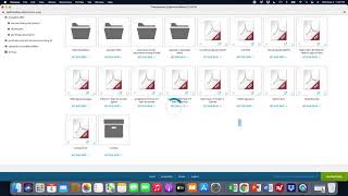 Celebrity Zipform training tile placement  2021 08 04 at 1 13 29 PM Profile