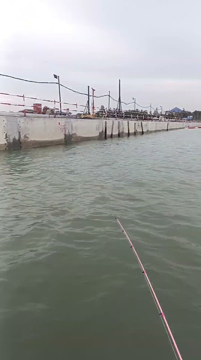 mancing ikan cencaru di muhibbah