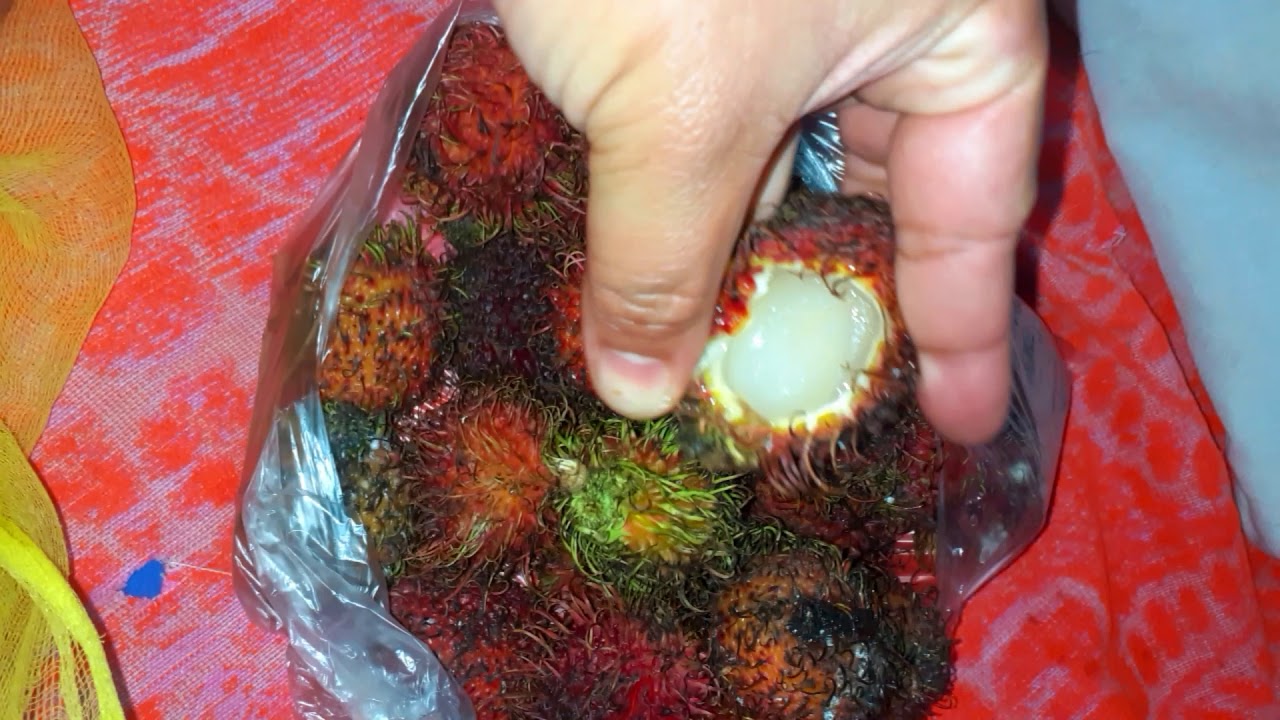 How To Open Rambutan Rambutan Fruit How to Open😍 - YouTube