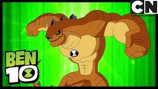 Ben 10 Italiano Omosauro - Nuovo Alieno Arriviamo Fino A 11 Cartoon Network