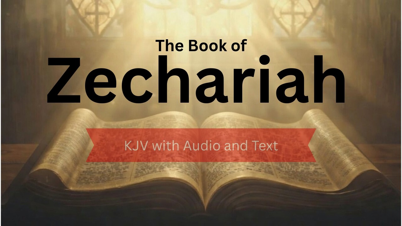 The Book of Zechariah - YouTube
