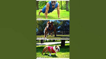 Veo 2 vs Hailuo 02 vs Wan 2.1 Plus⚡ || The Fittest Pups on the Block🐕‍🦺🐾