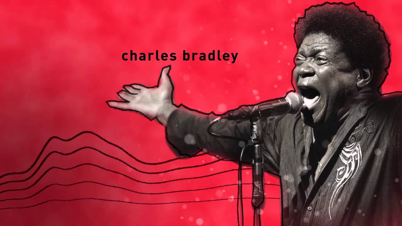 Jazznojazz 2013 Trailer