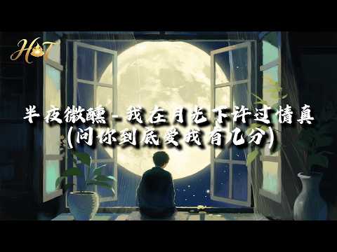 半夜微醺 - 我在月光下许过情真 (问你到底爱我有几分)『我在月光下许过情真，问你到底爱我有几分。』【动态歌词MV】