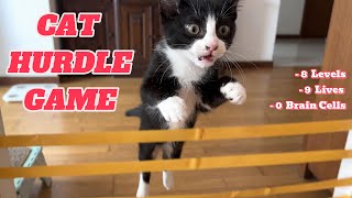 CAT HURDLE CHALLENGE - 8 Impossible Levels 🐈  #walt #molly #waltnmolly #cutecats #viralcats