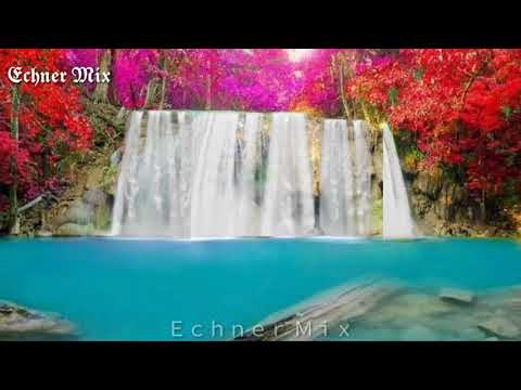 وقال فرعون ذروني اقتل موسى للقارئ اسلام صبحي