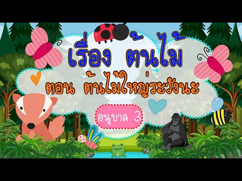 เรื่อง ต้นไม้ ตอน ต้นไม้ใหญ่ระวังนะ ระดับชั้นอนุบาล 3 EP4