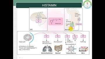 Hóa dược 2:Thuốc Khánh Histamin H1 part 1