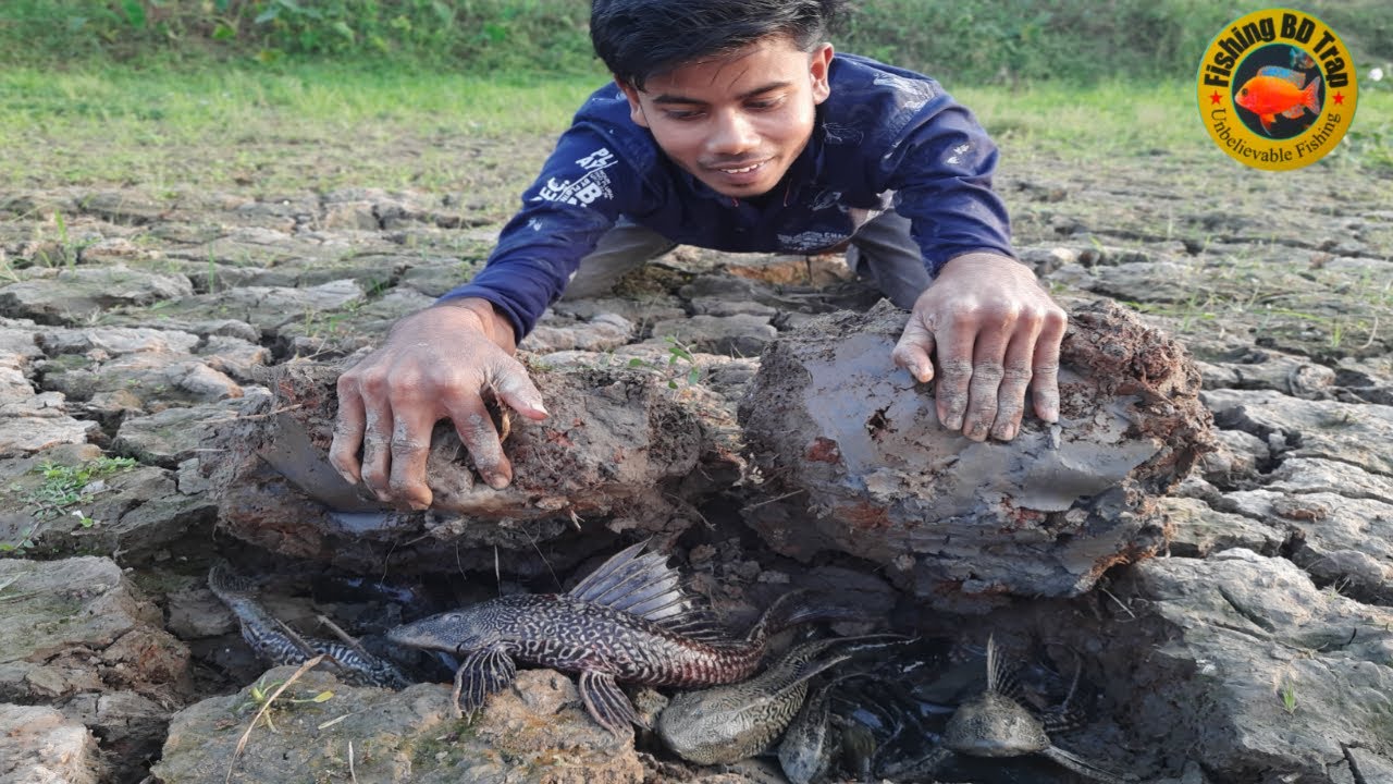 Unique Fishing Catching 2020  Catching Catfish In Dry Season Find Fish in Underground Secret Hole