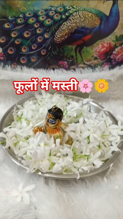 कान्हा मस्ती 🤗 #youtubeshorts #viralshorts #ytshorts #masti #funny #laddugopal #kanha #shorts