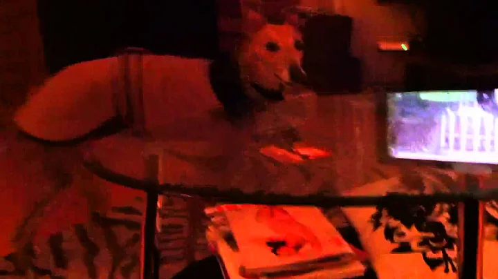 Atlas the Whippet Can Fetch