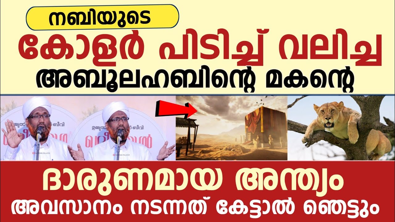 നിങ്ങൾ ഇതുവരെ കേൾക്കാത്ത ചരിത്ര സംഭവം | rahmatullah saqafi elamaram 