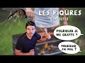 LES PIQÛRES D'INSECTES - Minute Santé