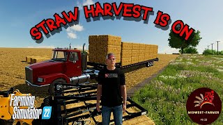 We Have Cows! New barn setup and more equipment! Now we work for $10,000,000. - Farming Simulator 22
