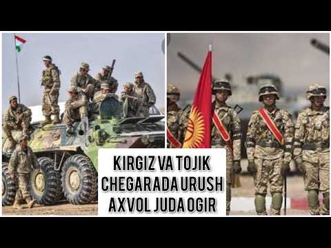 Video: Qirg'iz Oti Hipoallergenik, Sog'liq Va Umr Ko'rish Muddati