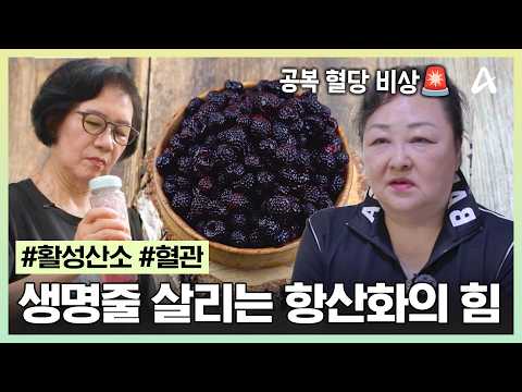 [#HealthSpecialHanyangchon] Take Care of Your Blood Vessels!😊 What is the Secret to Her Recovery ...