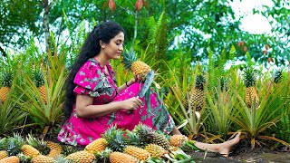 Pineapples rock|Drilled them,squeezed them and steamed for ambrosial taste |PoornaThe nature girl