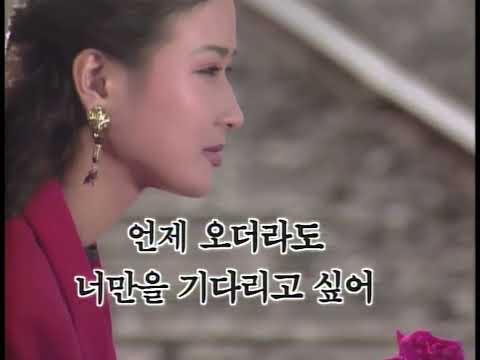 [노래방 LD] 한사람을 위한 마음 - 이승환/오태호 (삼성전자 스타맥스 비디오케)