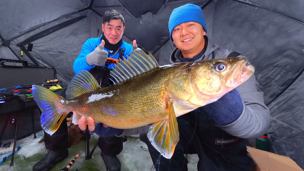 Ice Fishing A Saskatchewan Walleye Feeding Frenzy | Underwater Eats