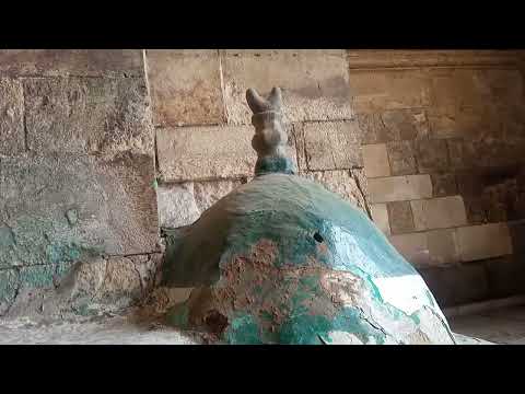 الذوق مخرجش من مصر وحكايه من حكايات حي الجماليه