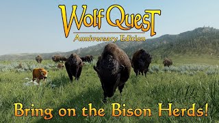 Bring On The Bison Herds