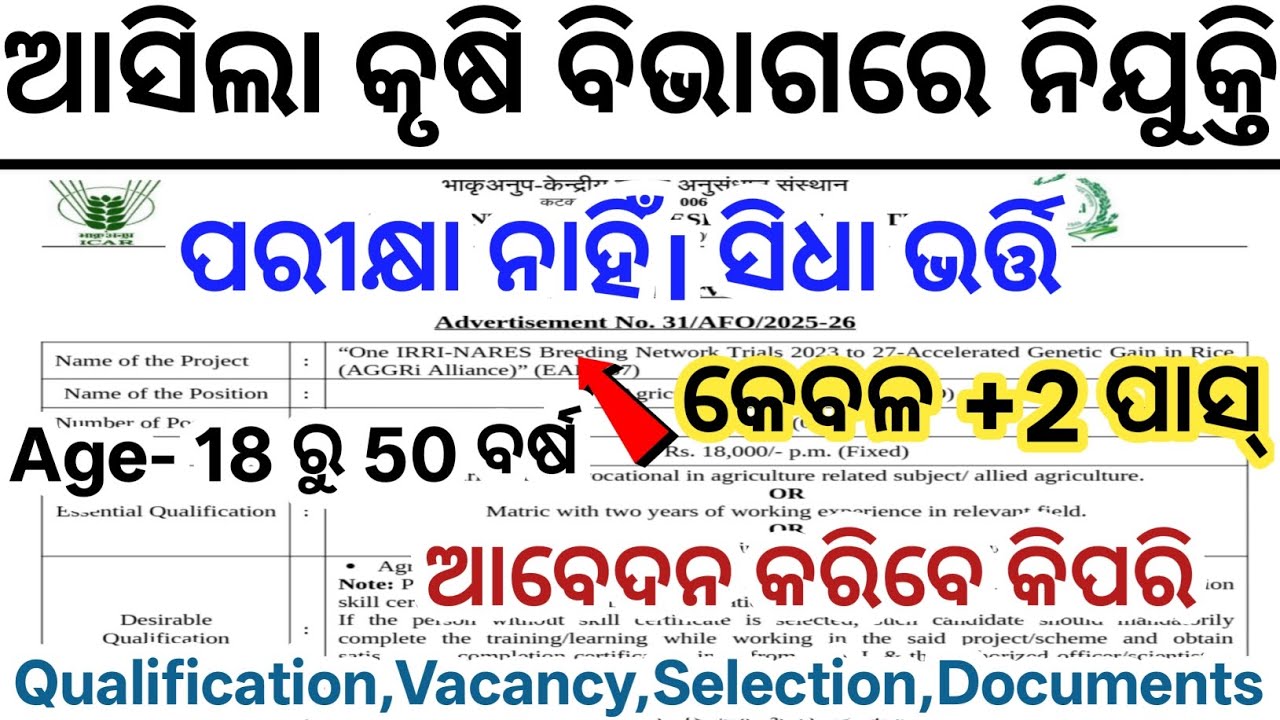 ଆସିଲା କୃଷି ବିଭାଗରେ Govt Nijukti 2025// +2 Pass Odisha Agriculture Office Jobs// Latest Govt Jobs