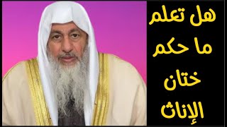 شاهد الفيديو وتعرف على حكم ختان الإناث الشيخ مصطفى العدوي