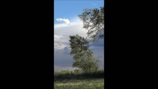 Colorado Clouds, Trees and Wind . by Alice B. Clagett