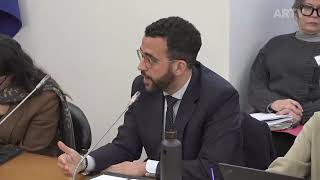 20-01-2026 | Audição do Conselho de Administração da VASP | Paulo Lopes Silva