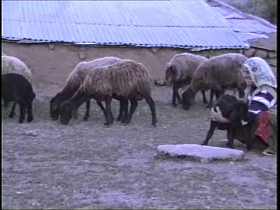 Hatıralarda kalan Tatan 2.Bolum.wmv